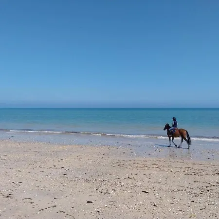 De La Mouette L'estran 8 A 9 Personnes Ravenoville